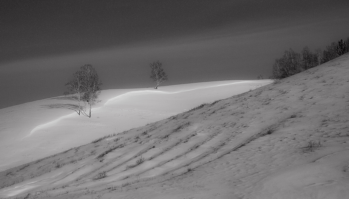 Зимний сюжет