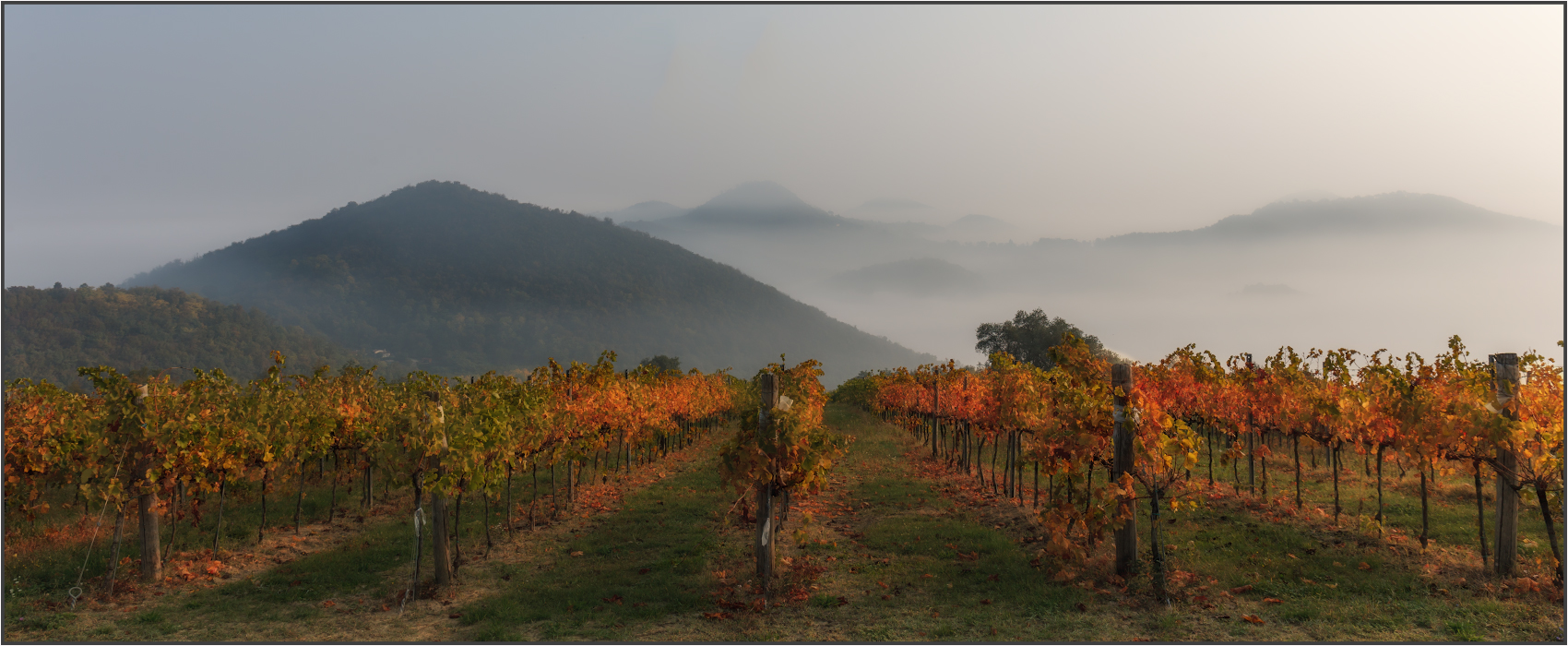 На далёких холмах...