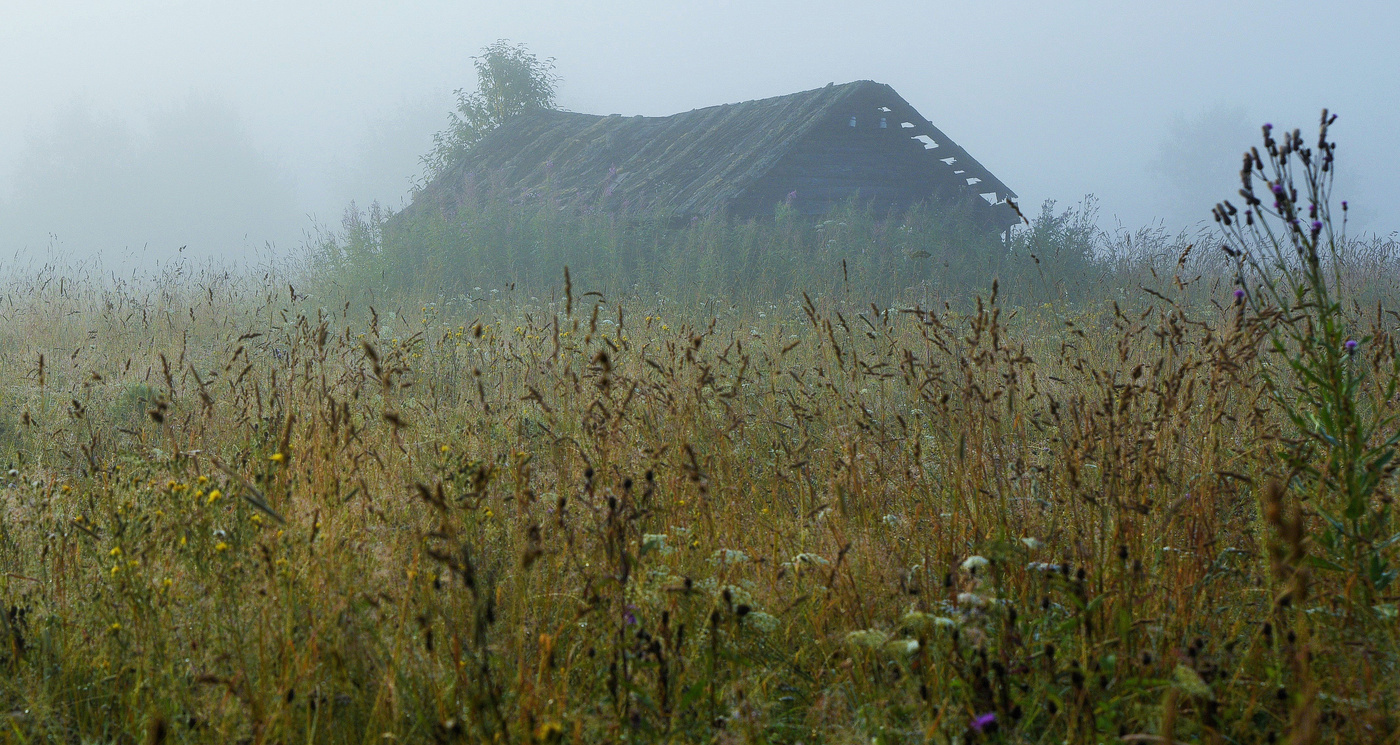 Некошенный луг ...