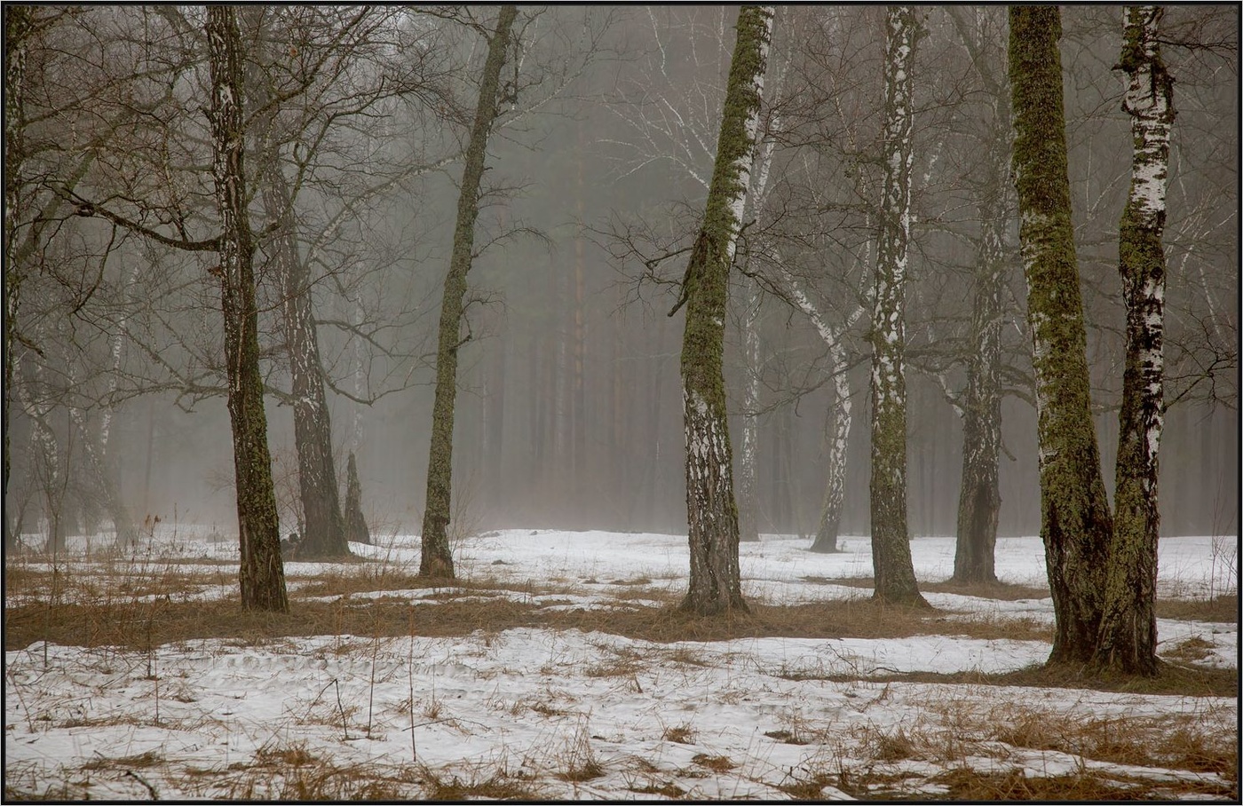 Майские проталины