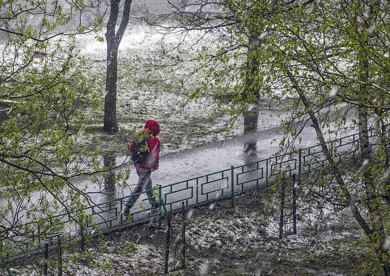 Дорогу осилит идущий