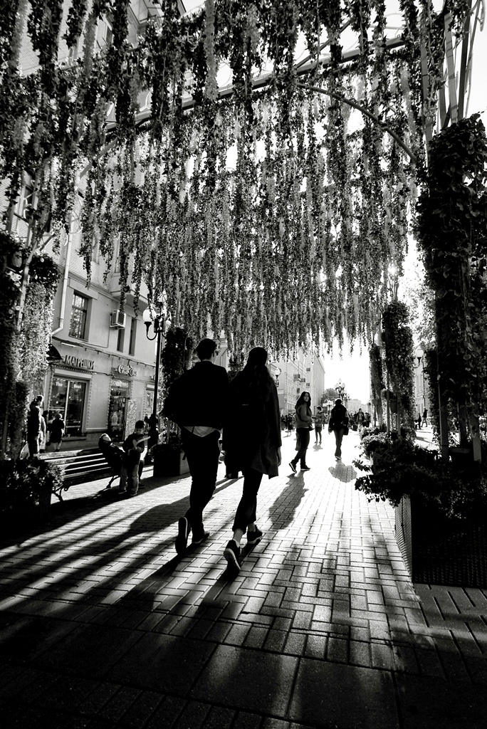 Дорогу осилит идущий