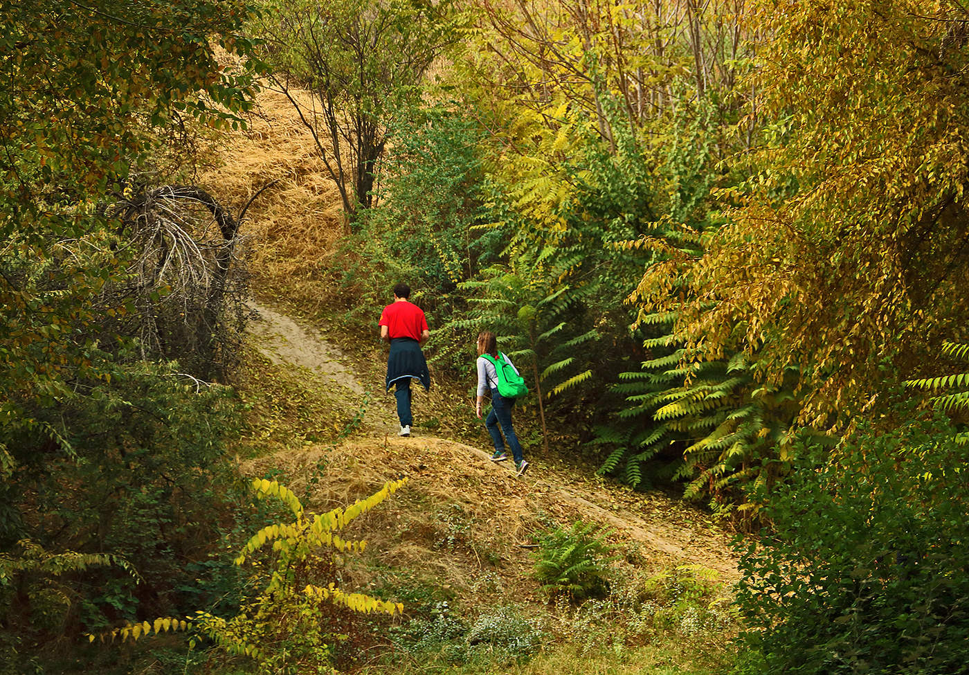 Дорогу осилит идущий