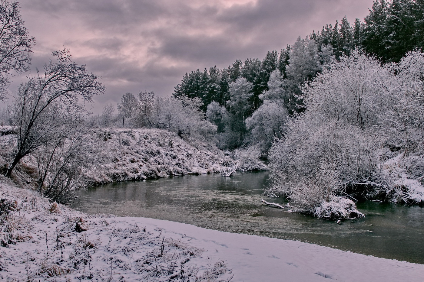 *СЕРЕБРО НОЯБРЯ**