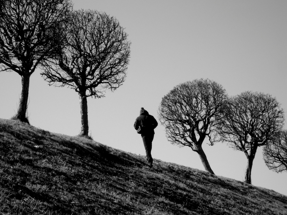 Дорогу осилит идущий