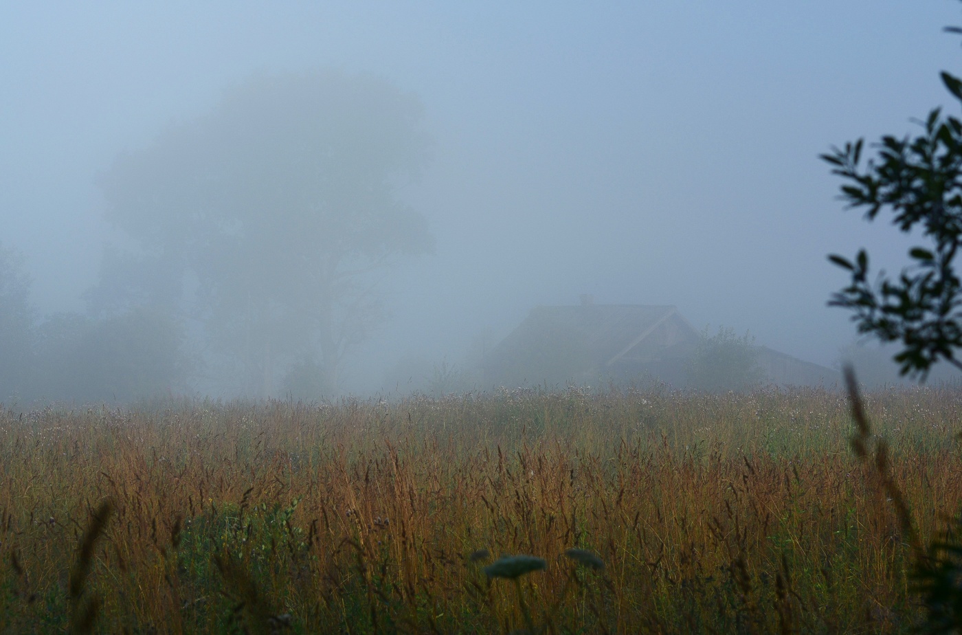 За полем еще дремала деревня ...