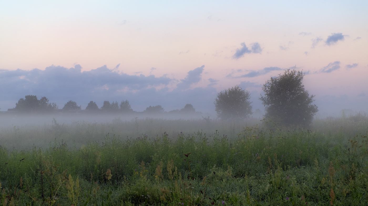 Параллели тумана