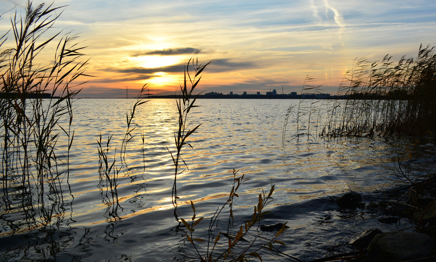 Вечерние волны ноября