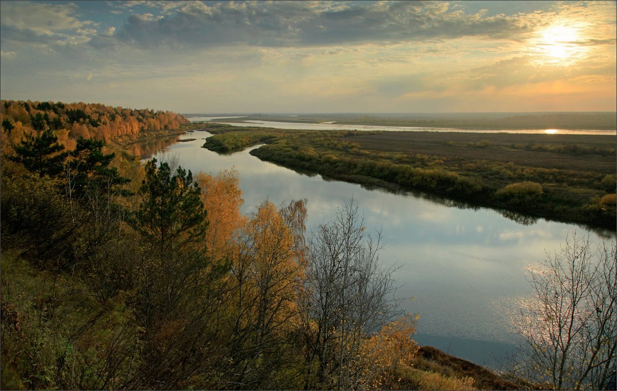Без названия