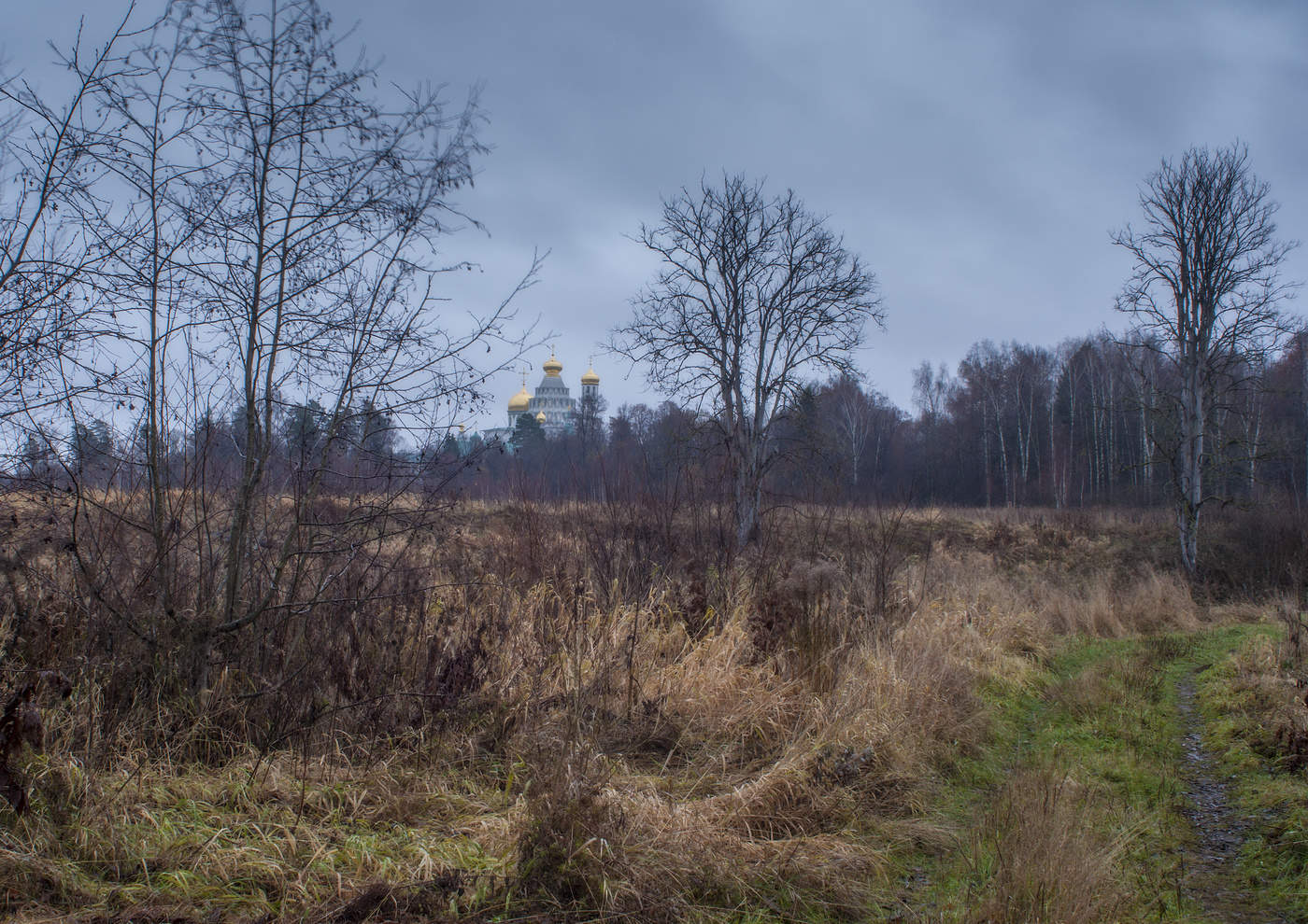 Уж небо осенью дышало...