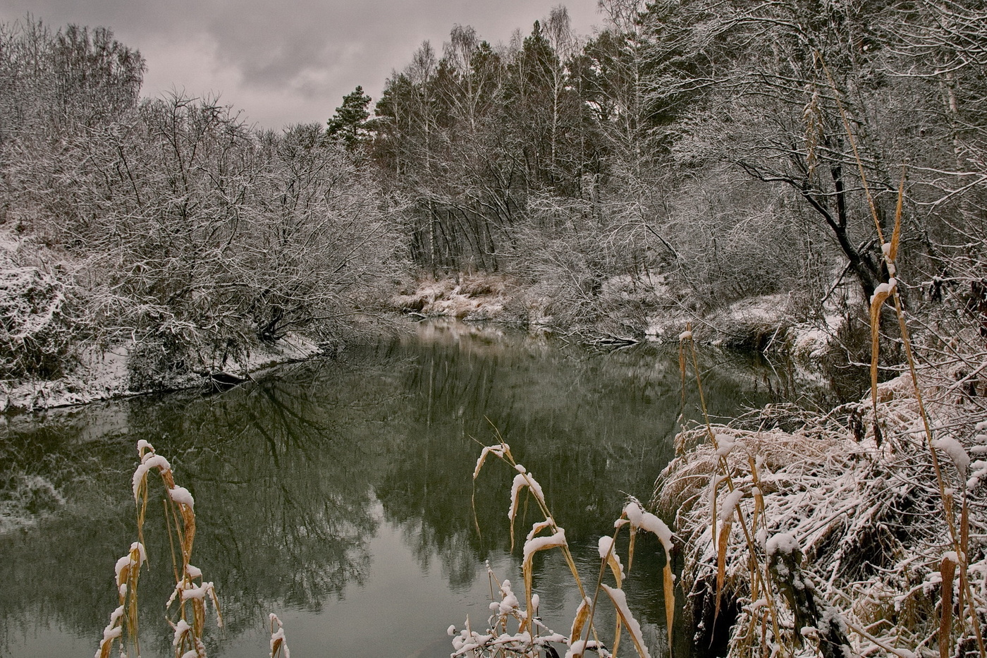 *ЛЕСНАЯ РЕЧКА**