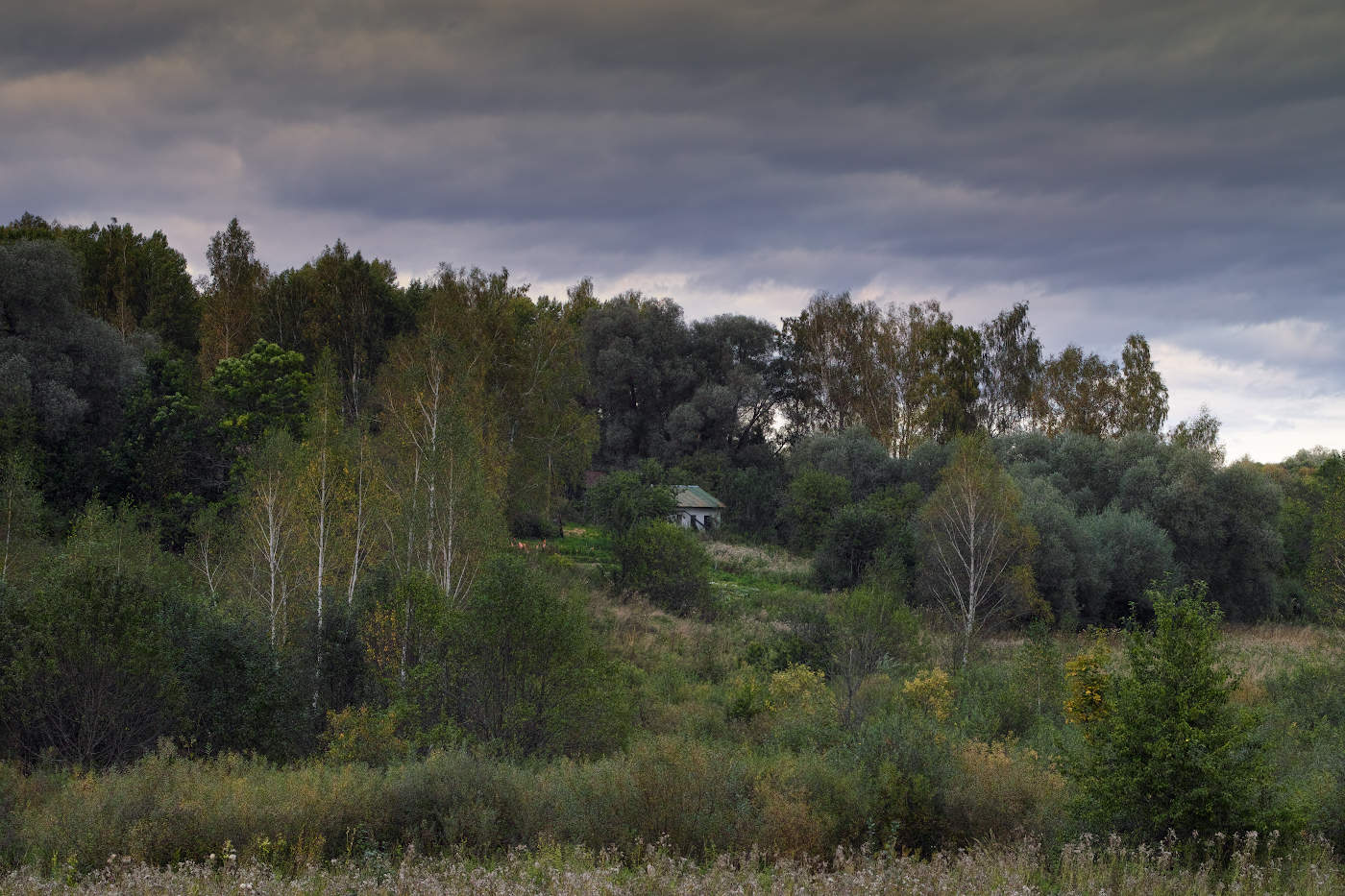 Затерянная в лесу