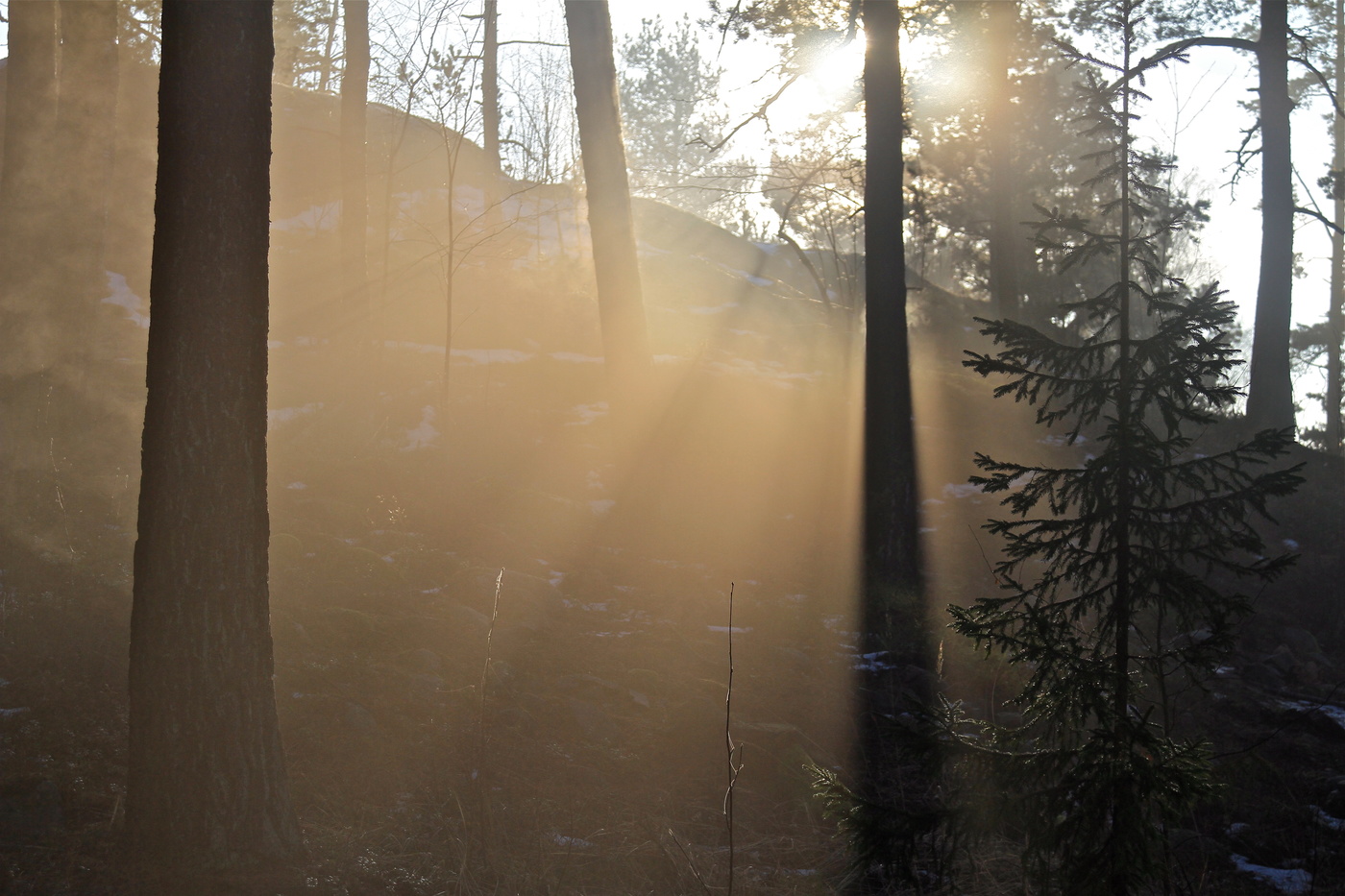 Зимнее солнышко