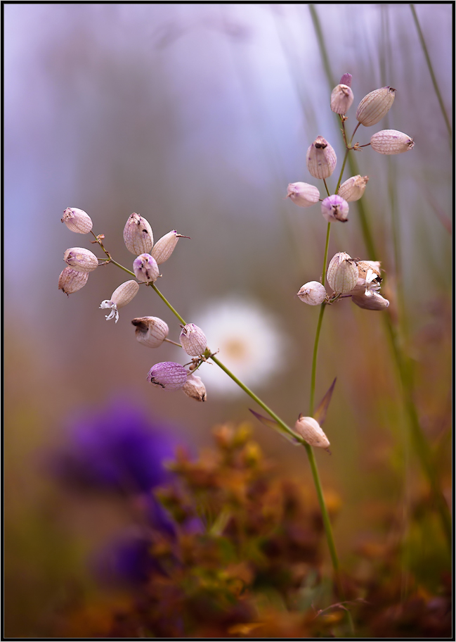 Утренний этюд 2