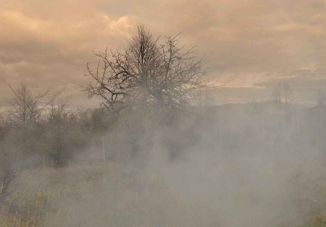 Осенним вечером после дождя