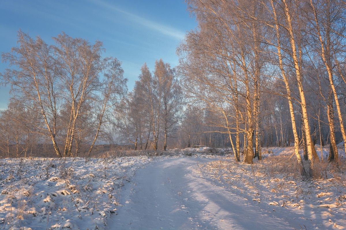 Утро ноября.