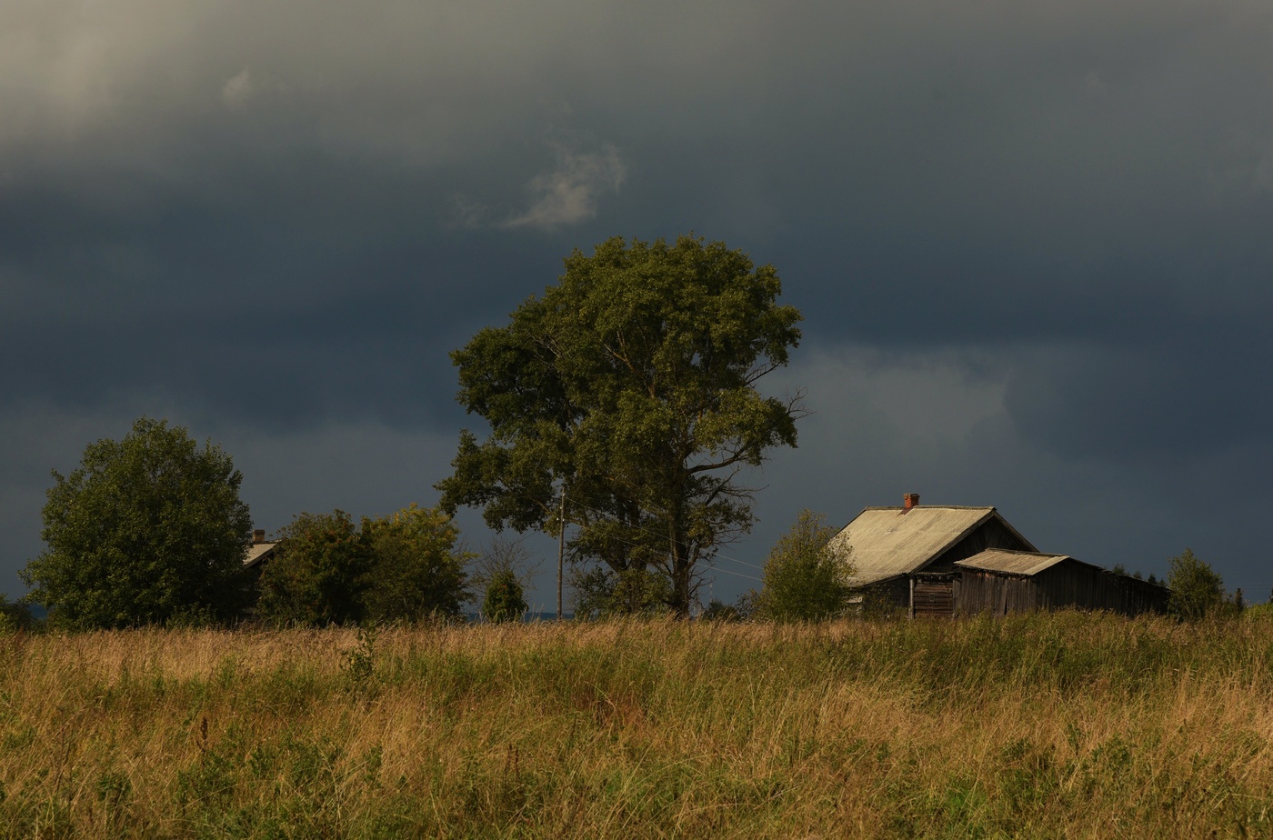 Перед дождем ...