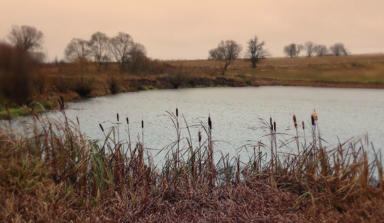 Раннее утро поздней осенью