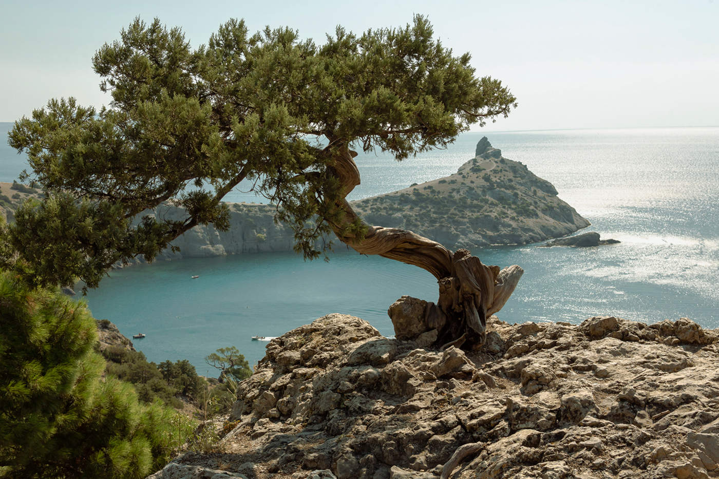 На семи ветрах