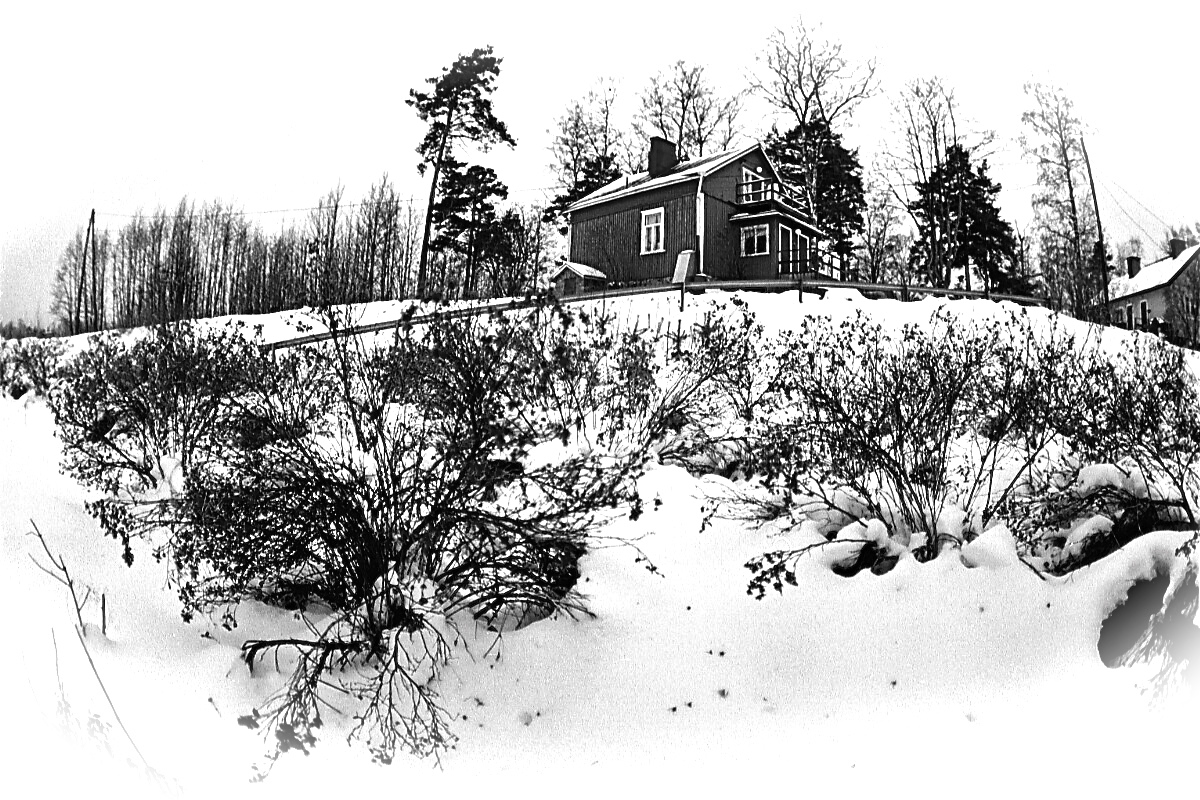 Где эта улица, где этот дом