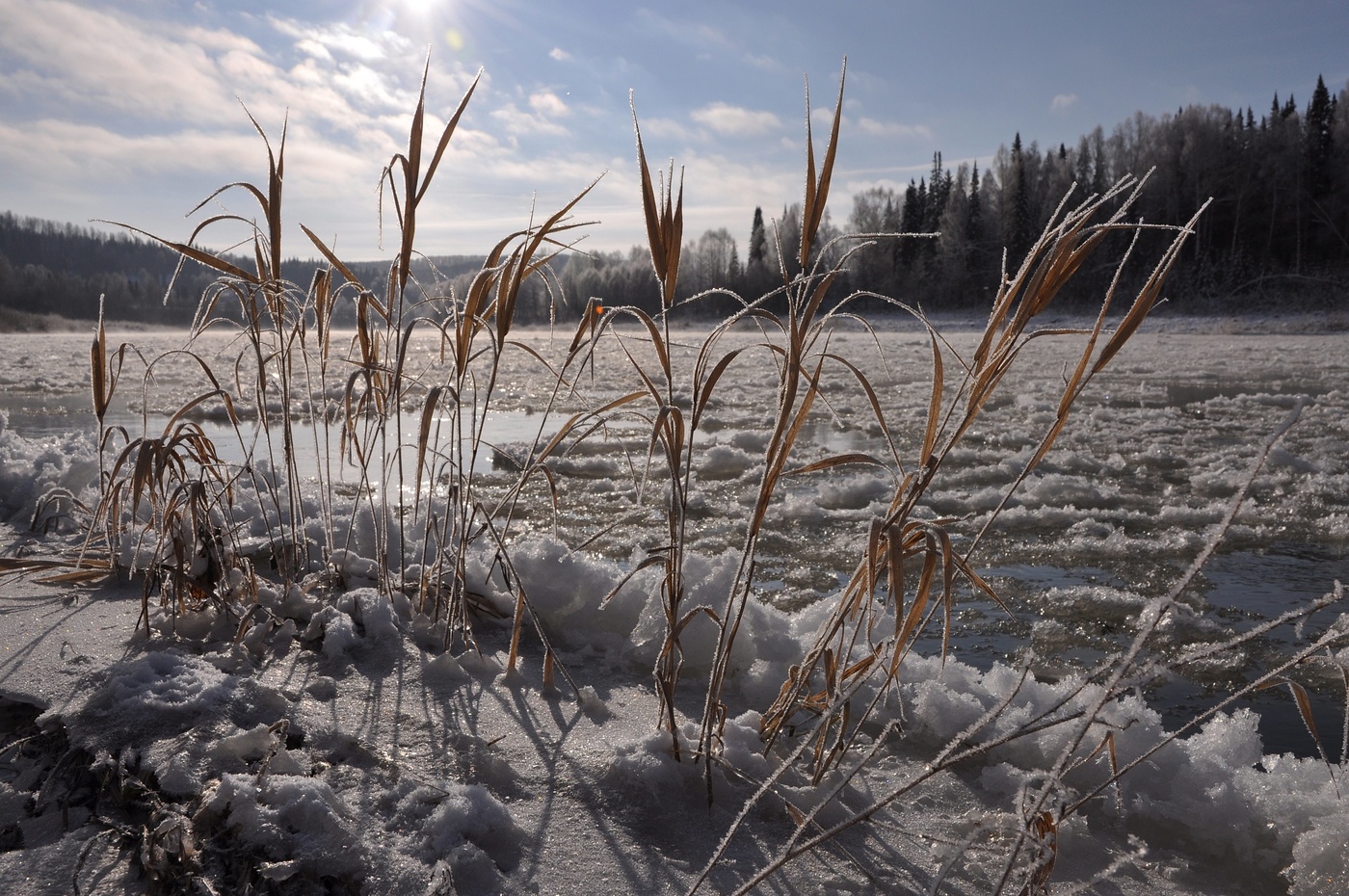 Кондома готовится к зиме