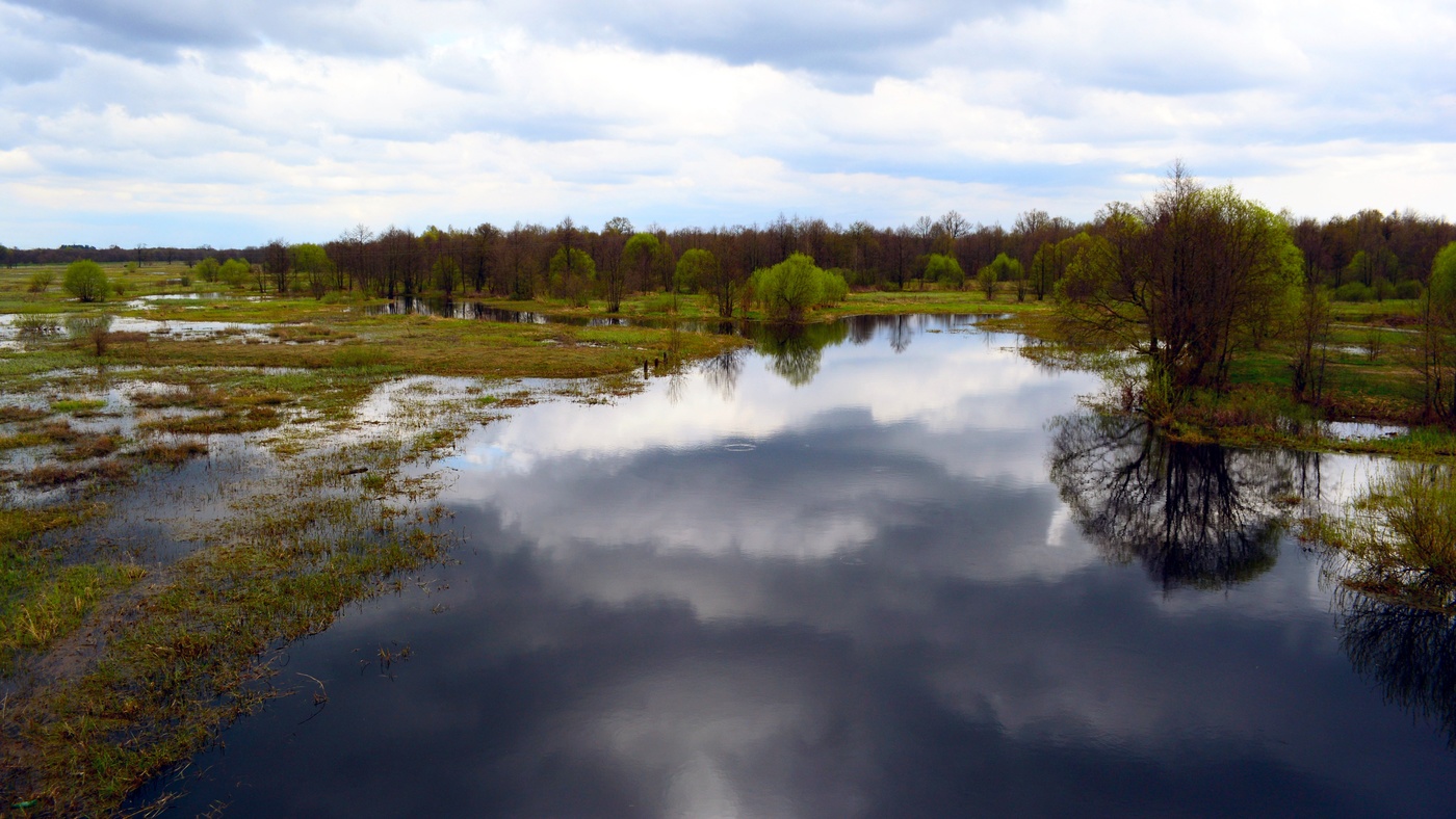 Небо купалось в реке
