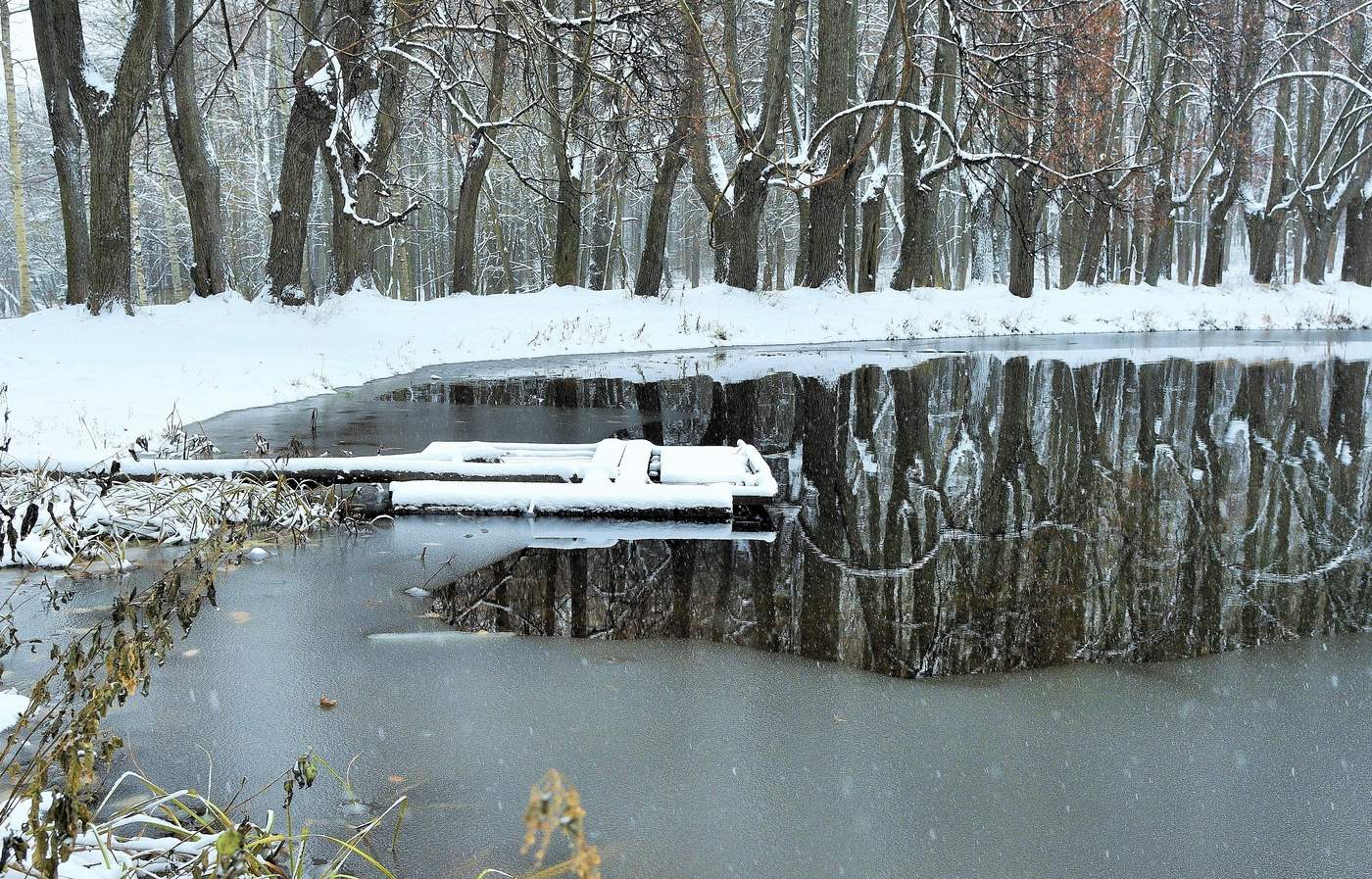 Погодные капризы ноября ...
