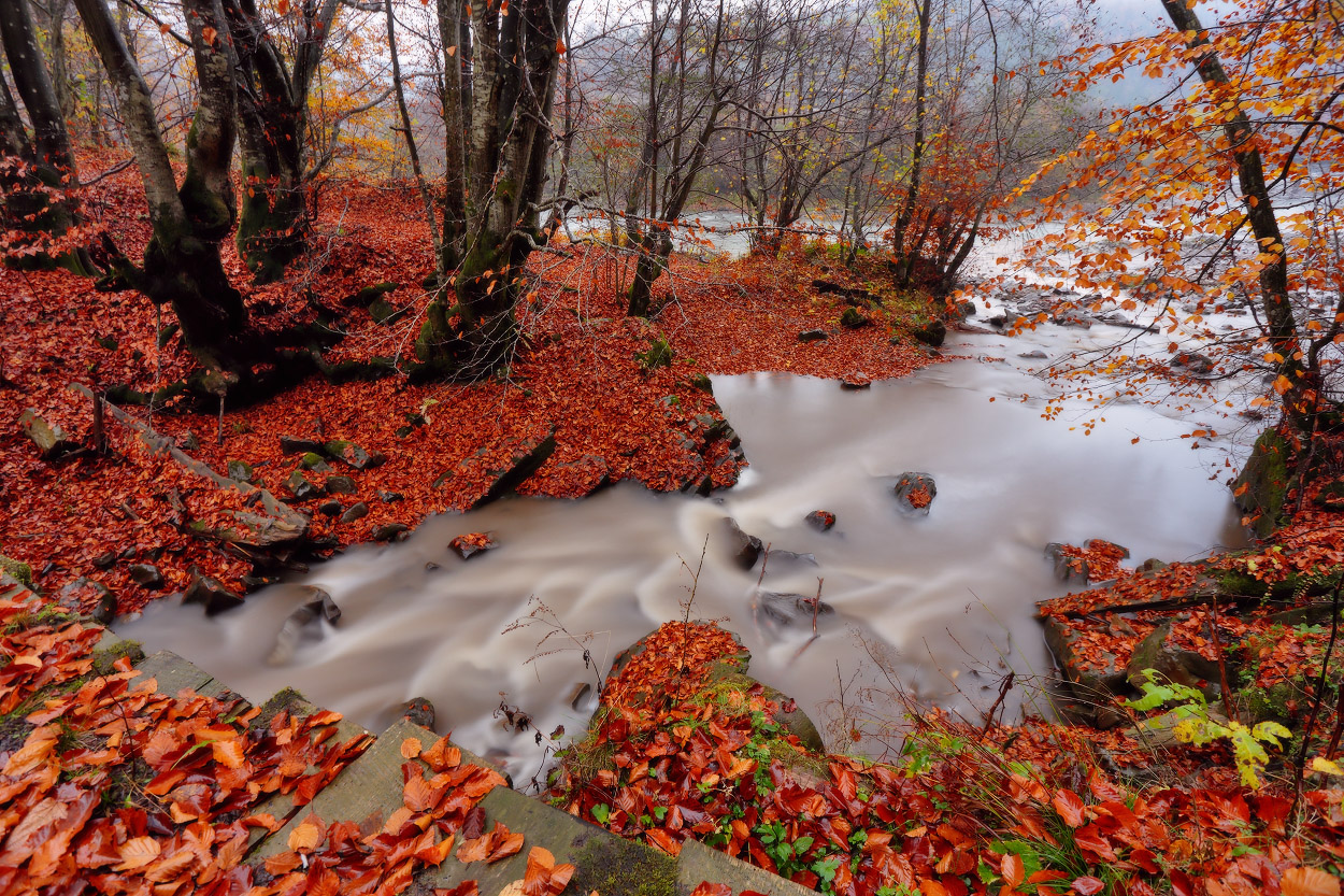 Осенний ручей