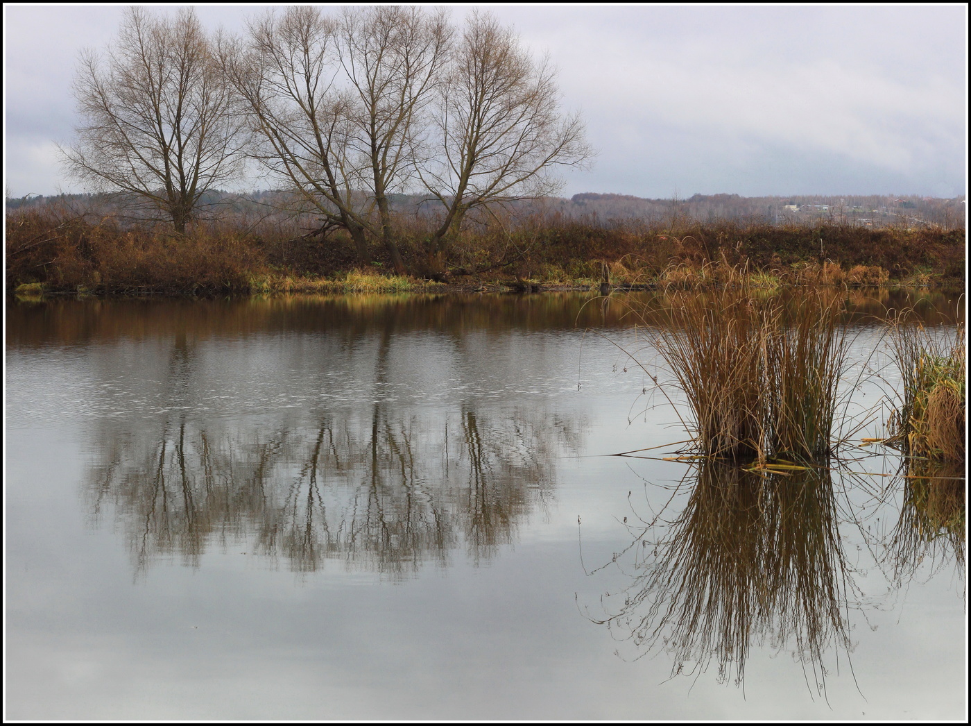 осень притаилась