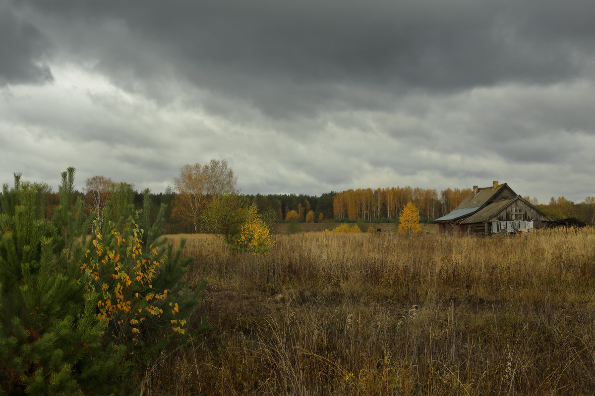 Уж осень на дворе