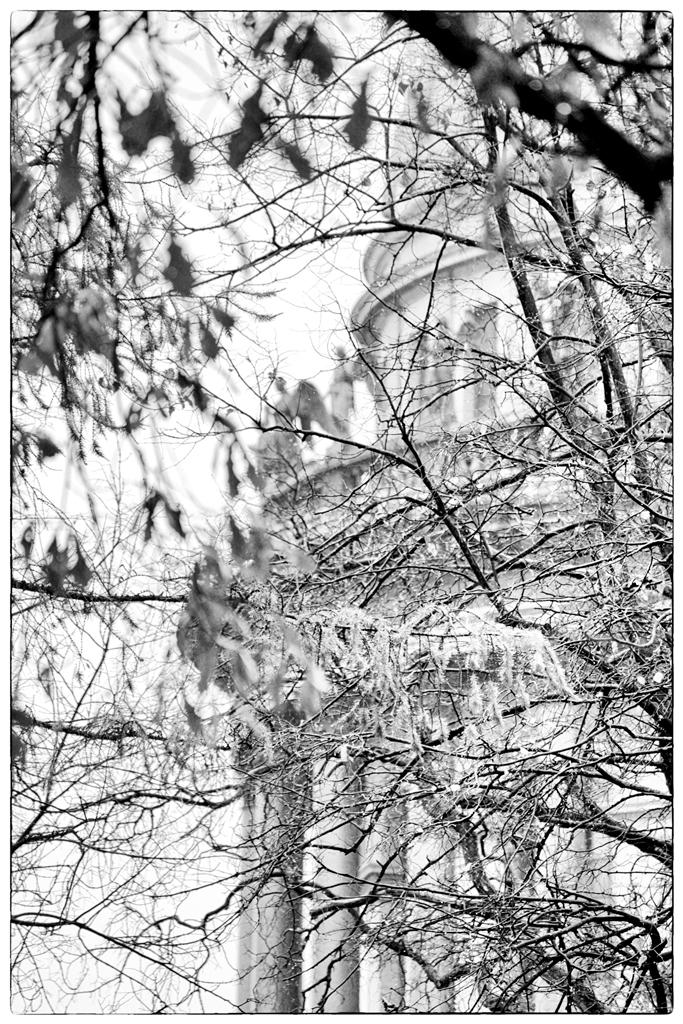 Серебро Господа