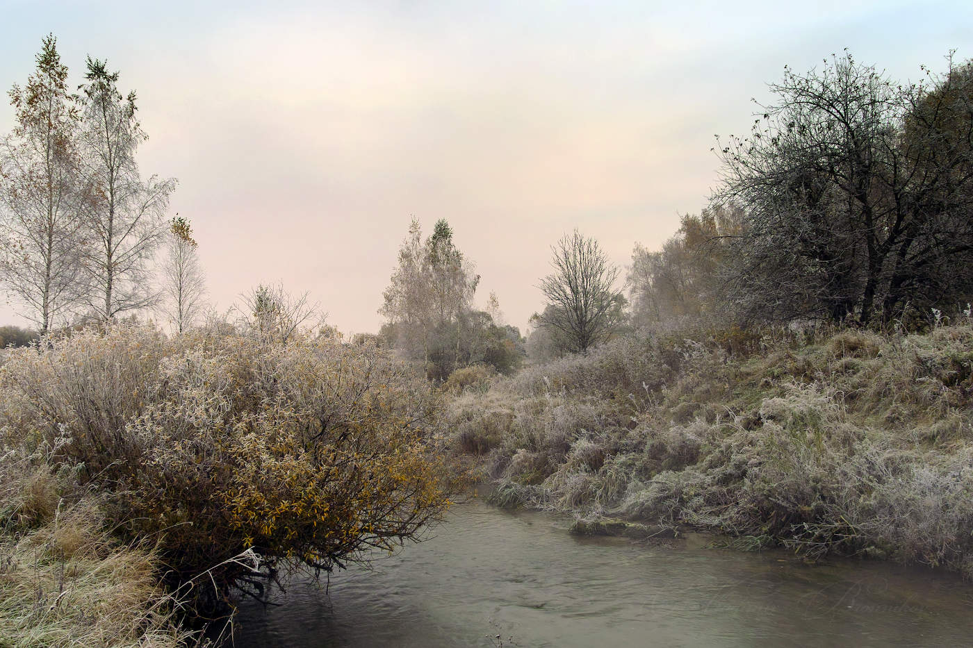 Свежесть морозного утра