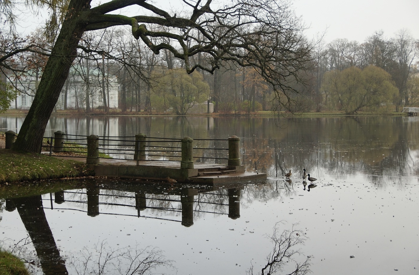 Ноябрьское утро...