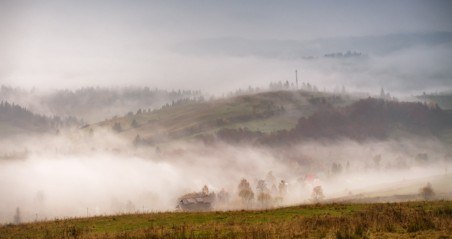 Туманный Пилипец