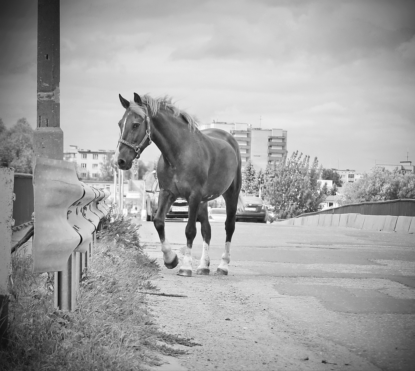 в городской суете