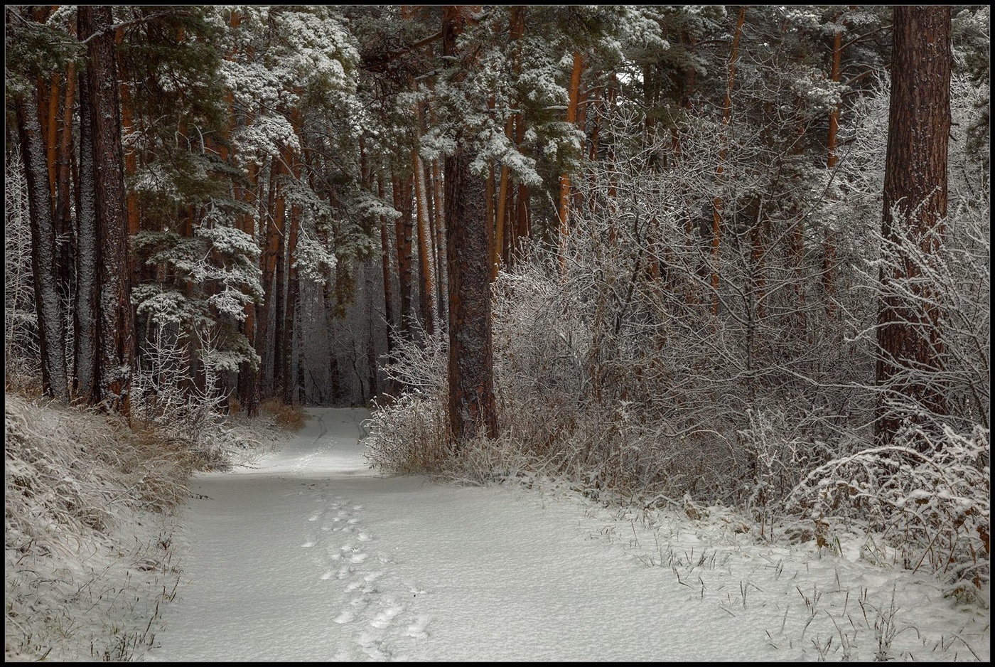 Без названия