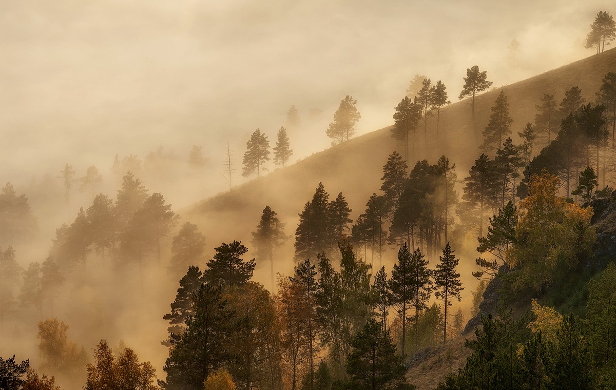 Солнечный склон.