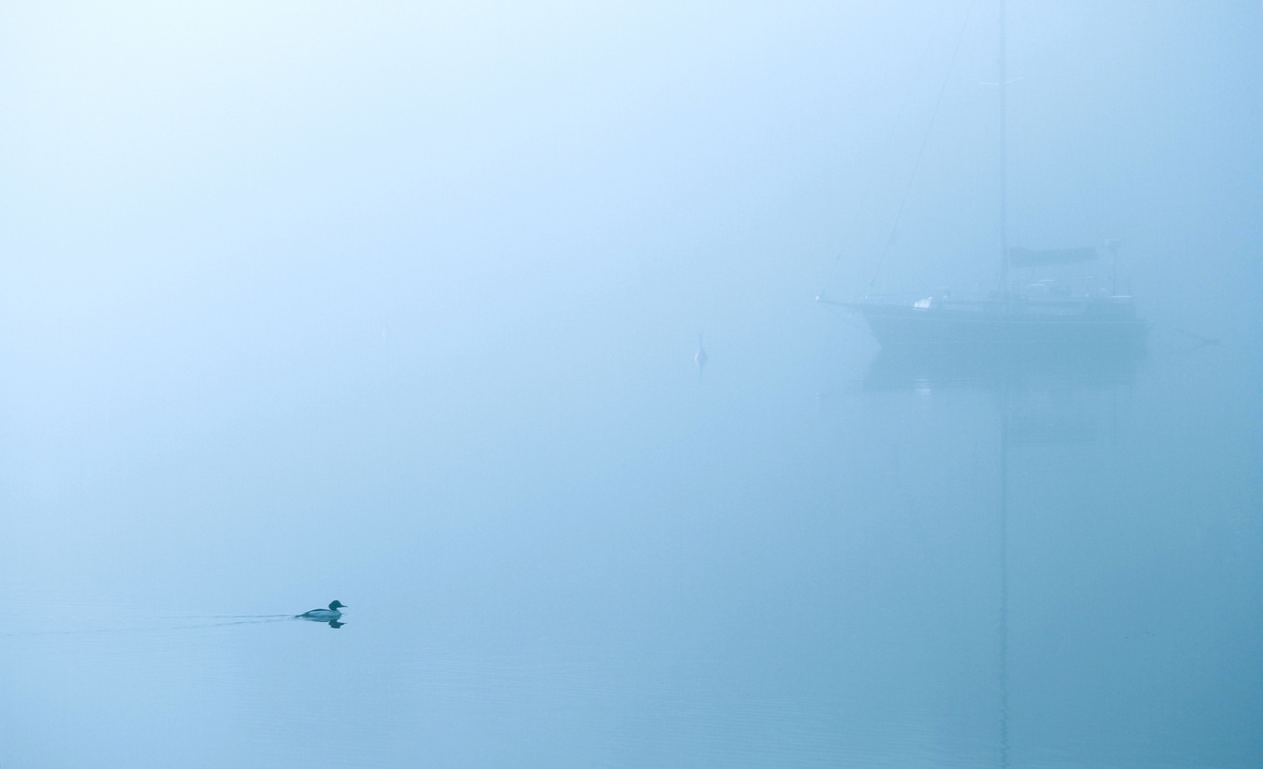 Там, за туманами