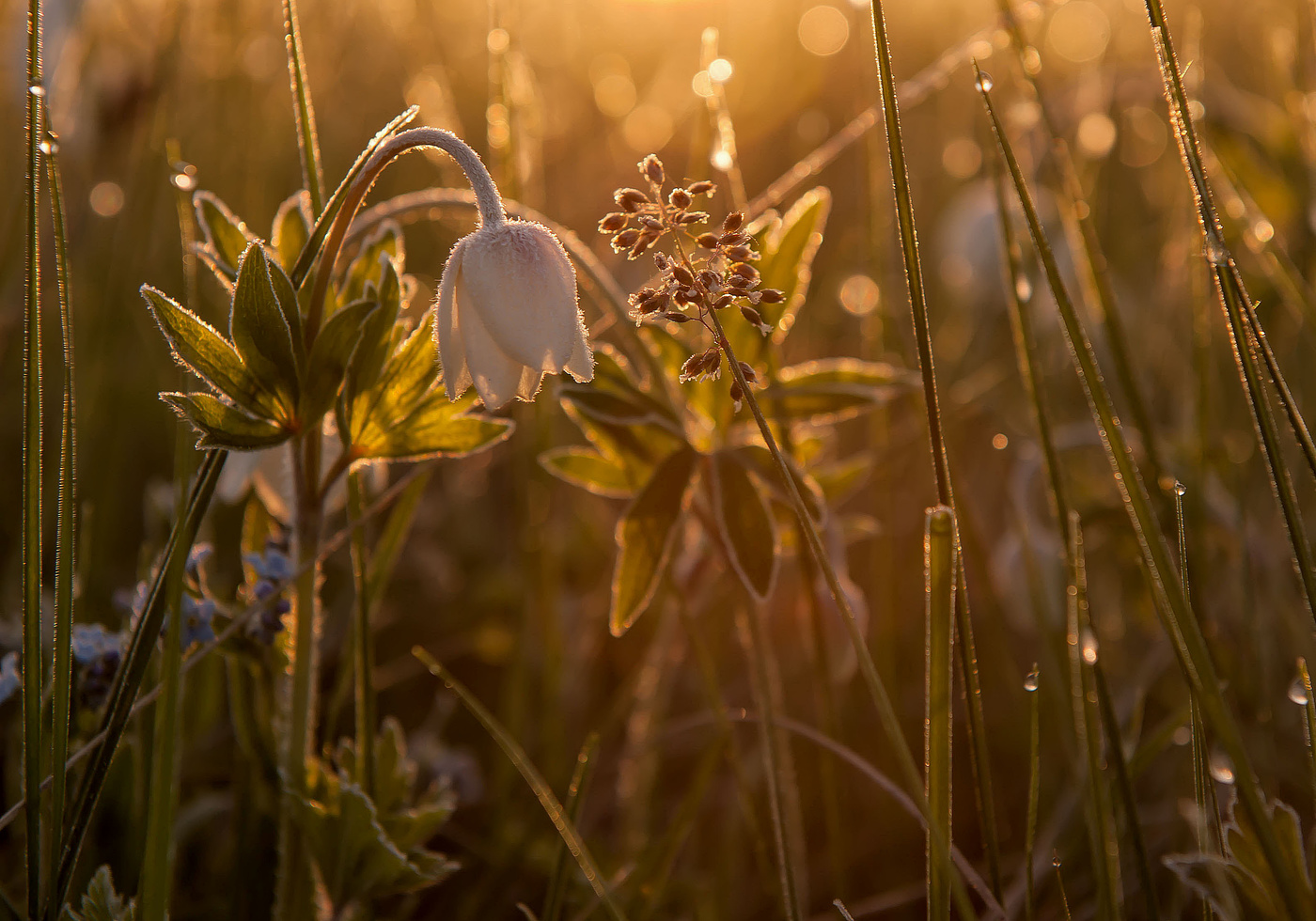 Просыпается день...