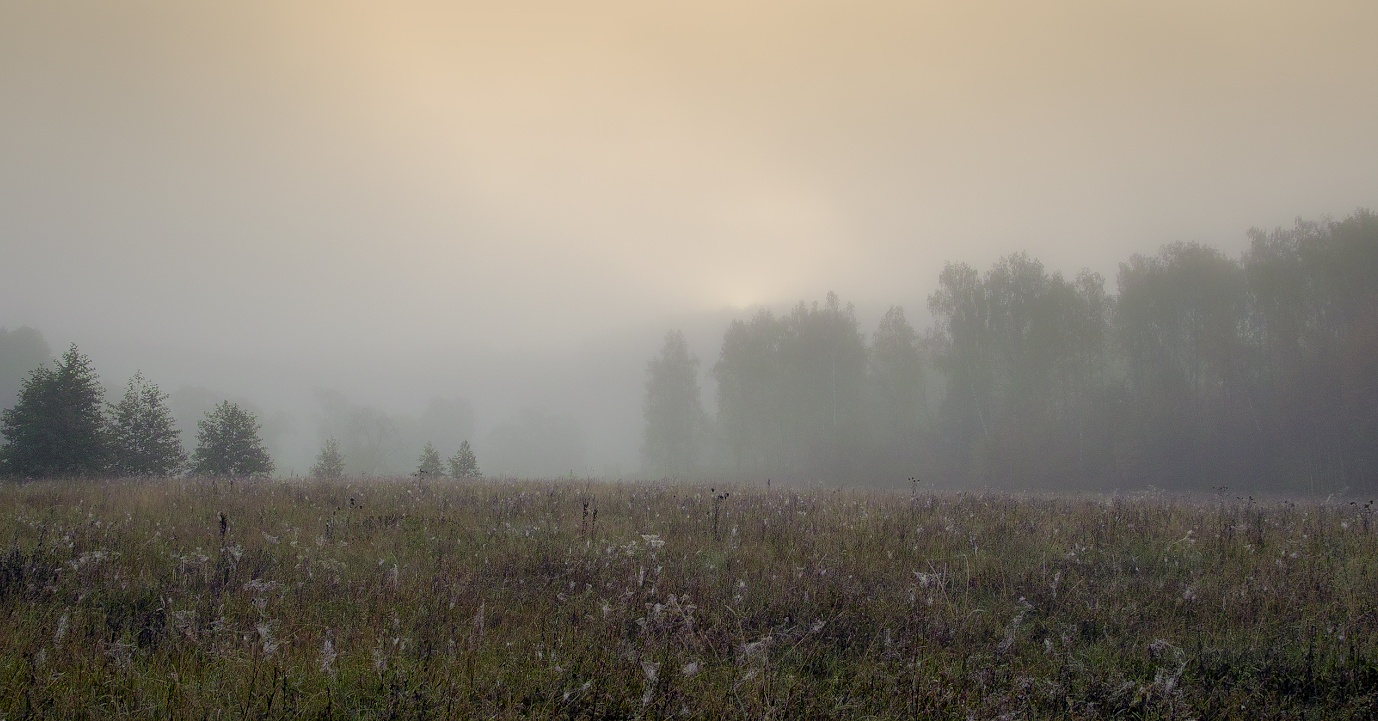Там за туманами