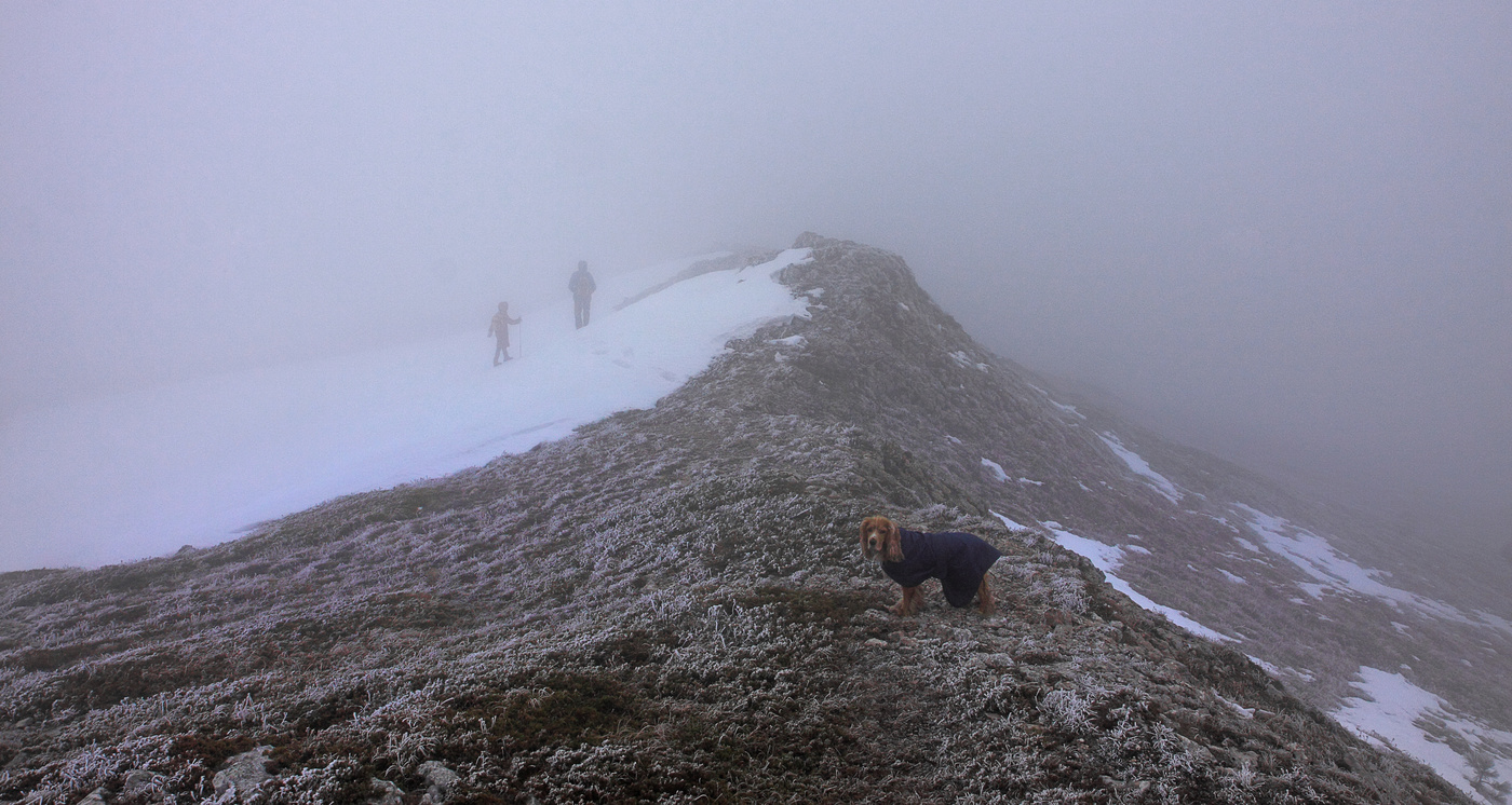 Там за туманами