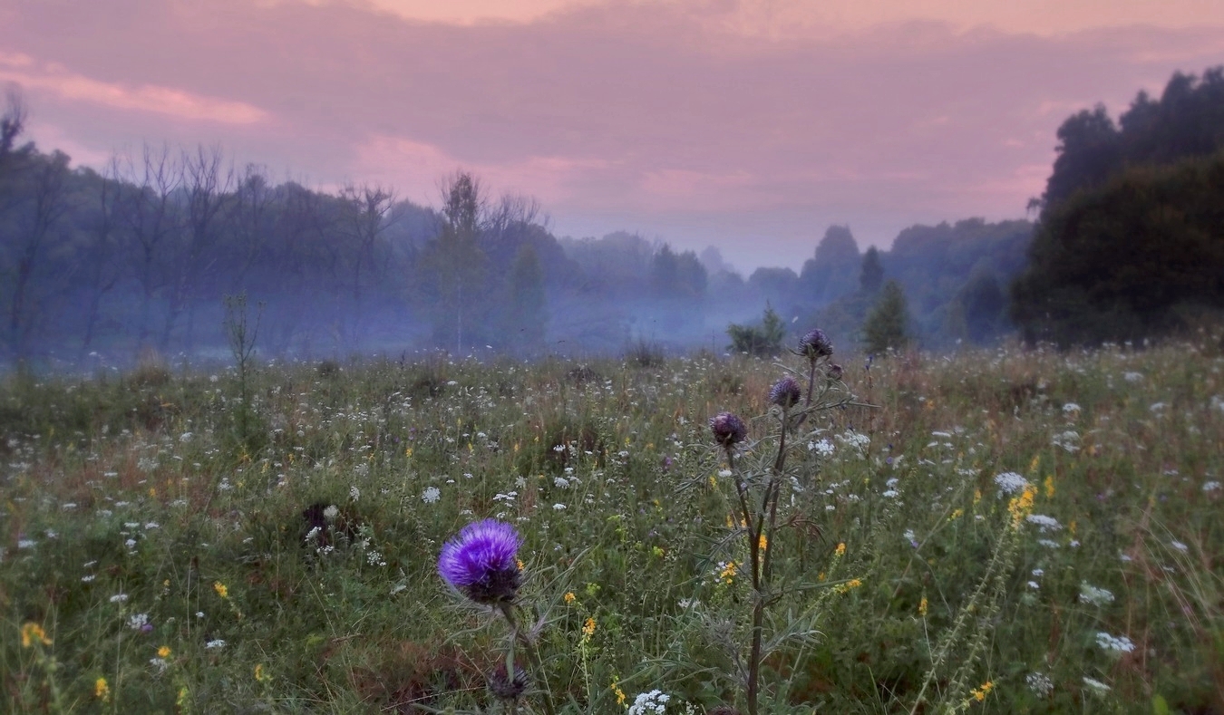 Там за туманами