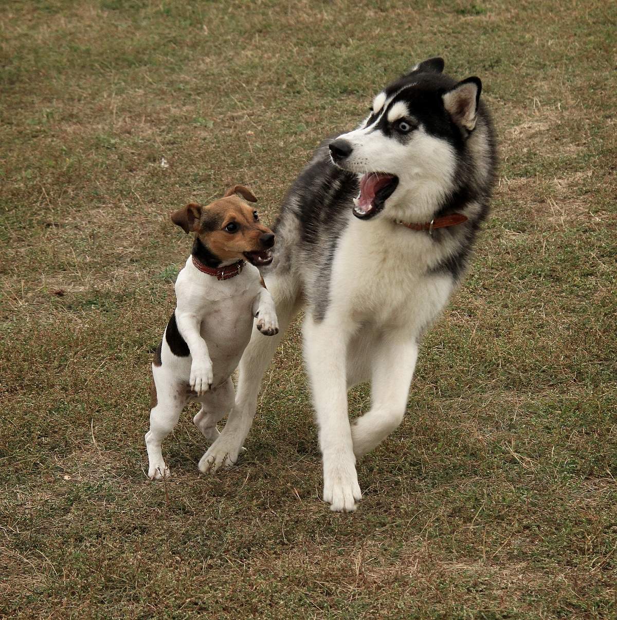 я совсем не это имел ввиду, мамзель!