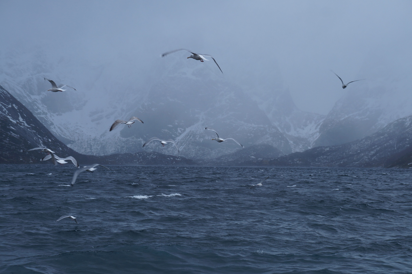 Там за туманами