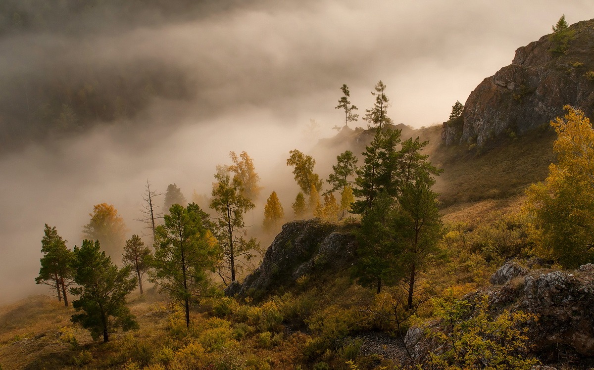 Там за туманами.