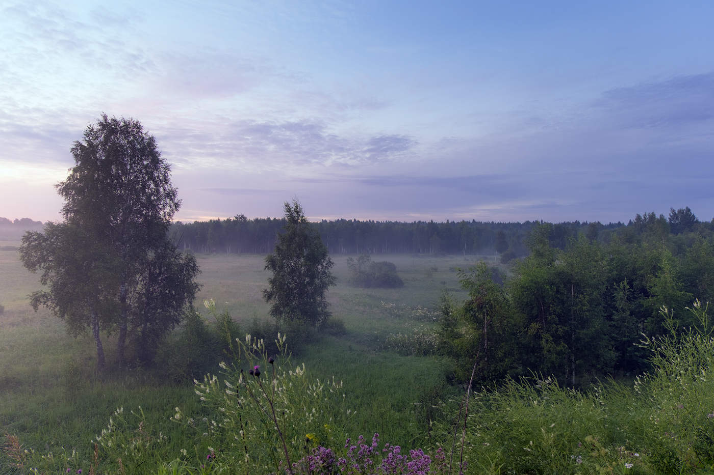 Утро чудесное