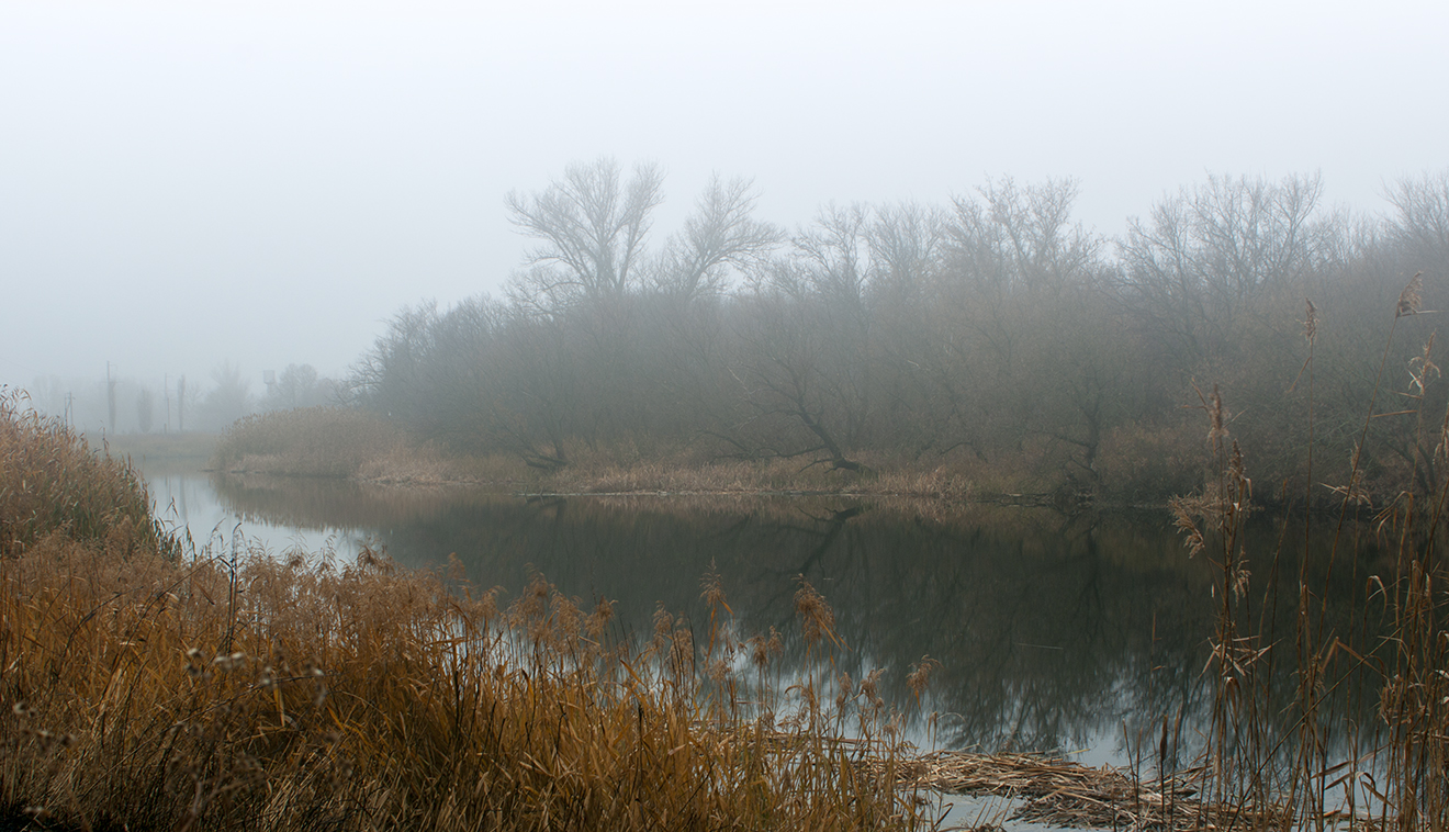 Там за туманами