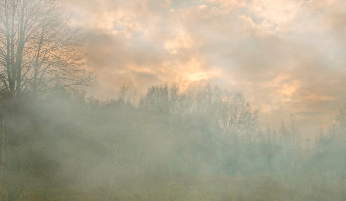 Осенние туманы