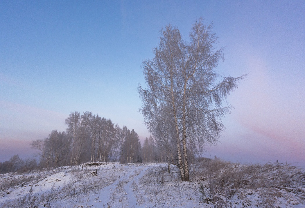 Про осеннее утро.