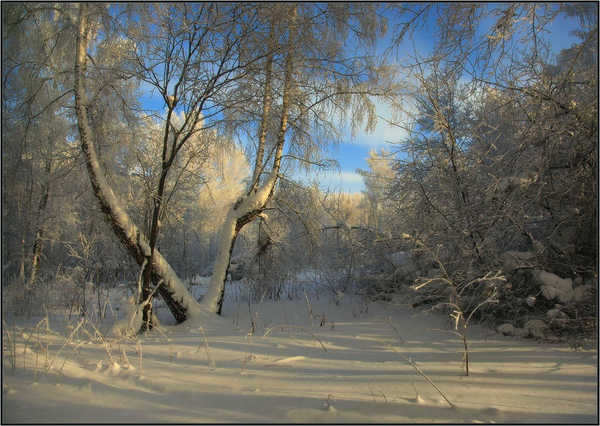 Зимний день